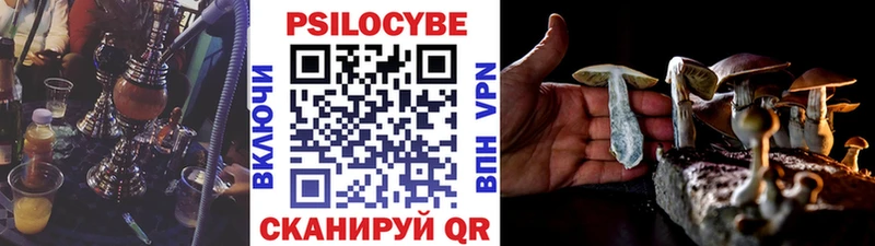 купить Далматово Галлюциногенные грибы Magic Shrooms